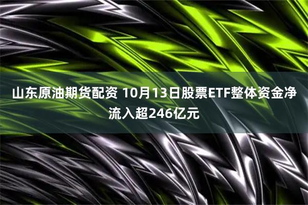 山东原油期货配资 10月13日股票ETF整体资金净流入超246亿元